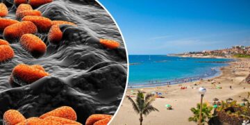 Teneriffa Meer Fäkalien