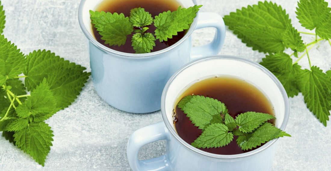 Tee Rückruf aktuell