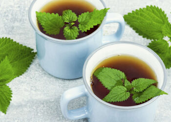 Tee Rückruf aktuell