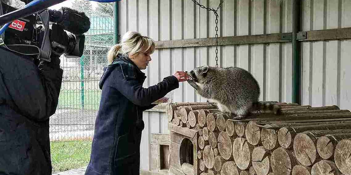 Joanna Jambor wo geboren