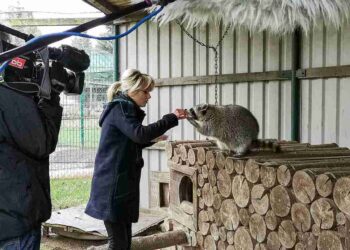 Joanna Jambor wo geboren