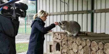 Joanna Jambor wo geboren